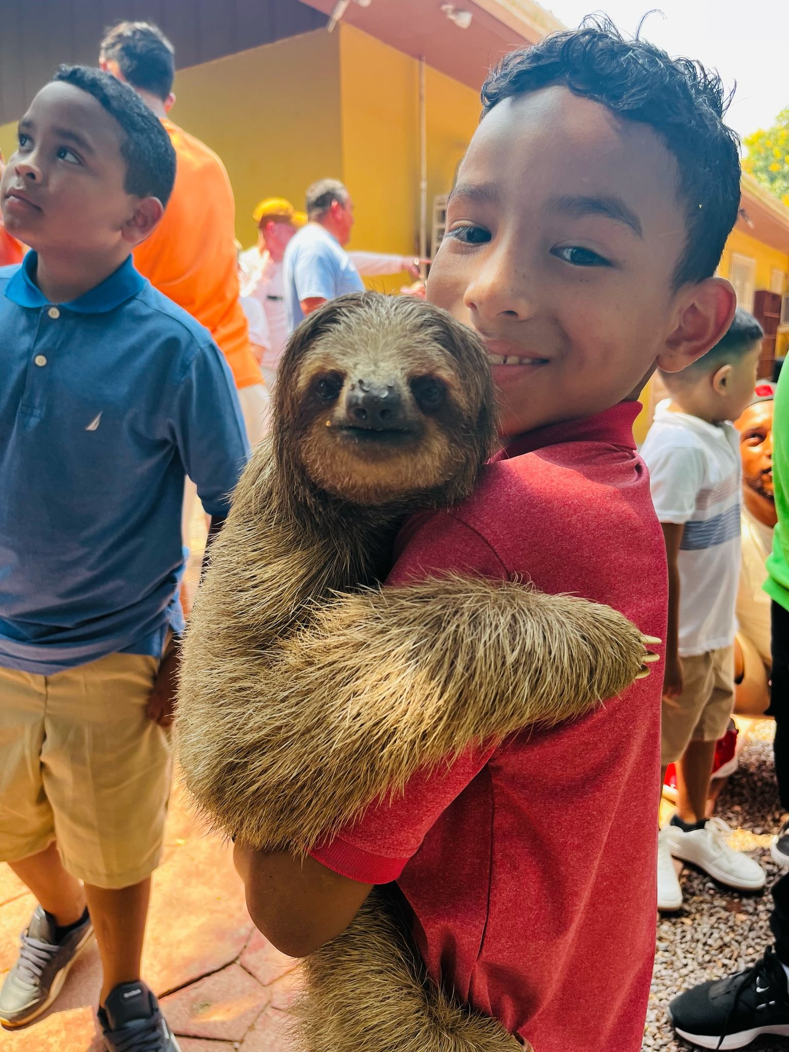 Iguana Farm + Sloths & Monkeys + Island Tour