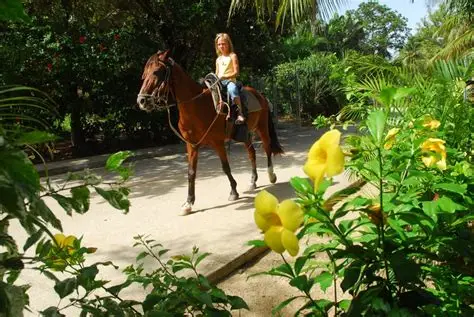 Horseback Riding on the Beach + Island Tour