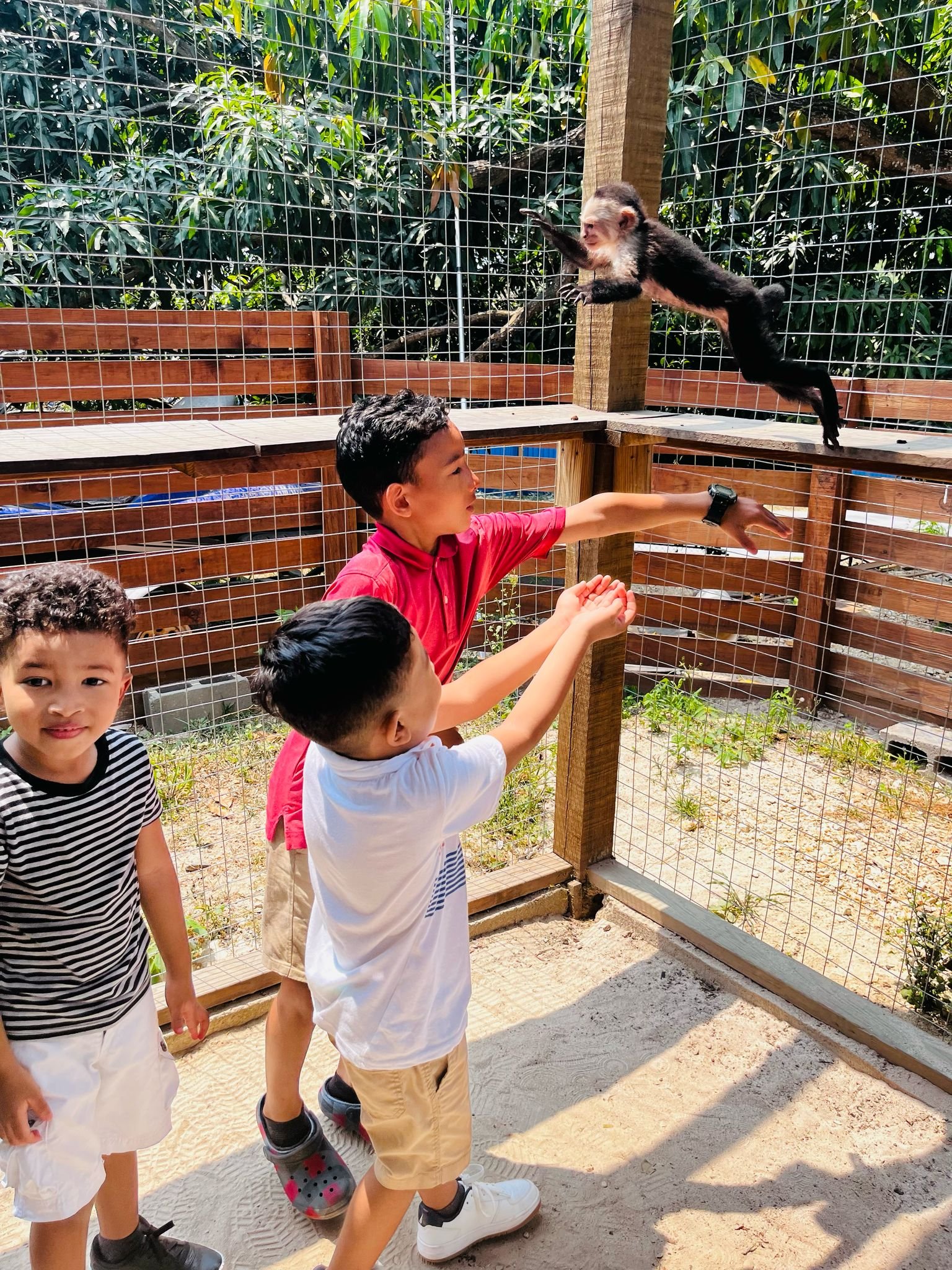AJ’s Sloths & Monkey Hangout + Animal Sanctuary