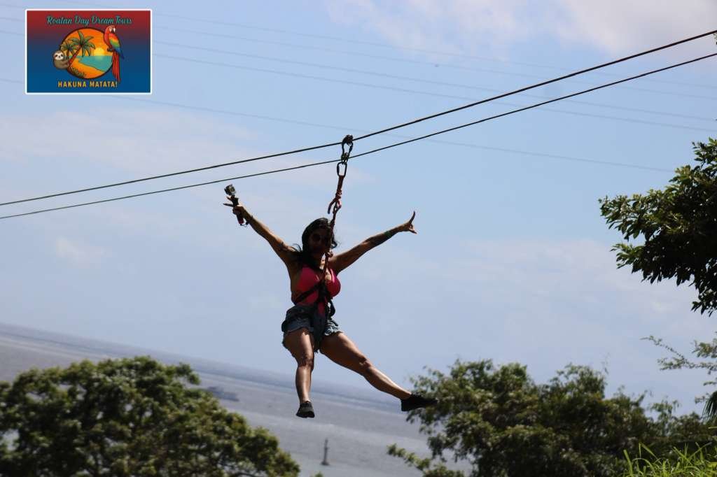 Jungle Top Zipline + Monkeys & Sloths + Island Tour