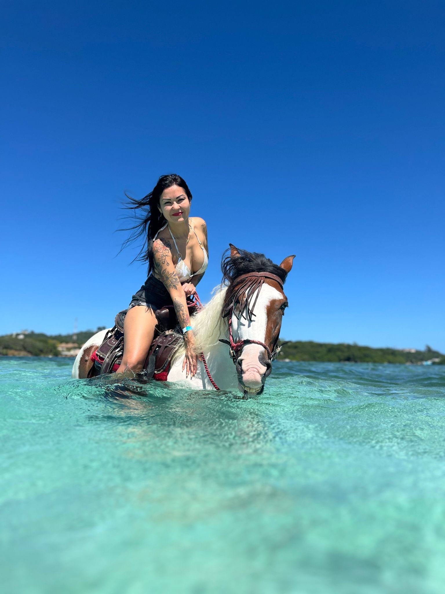 Little French Key – Full Island Package