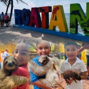 Island Tour+Sloths+Iguana Farm