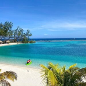 Fantasy Island+ Sloths